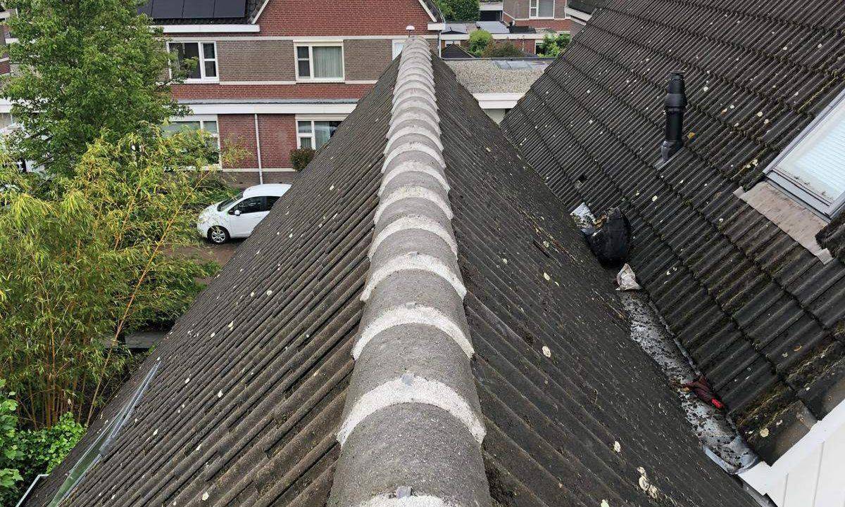 Nokvorsten Hoorn